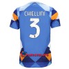 Virallinen Fanipaita Juventus Chiellini 3 Neljäs Pelipaita 2022-23 - Miesten